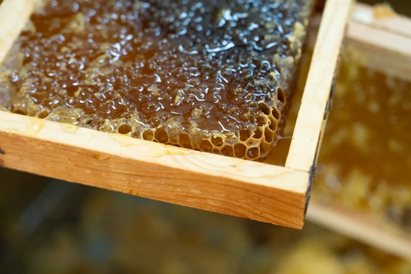 Dal fiore al vasetto: il metodo di conservazione a freddo del miele